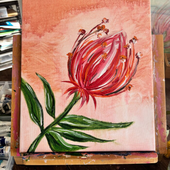 Australian Flora